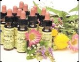 Frasco de Florais de bach